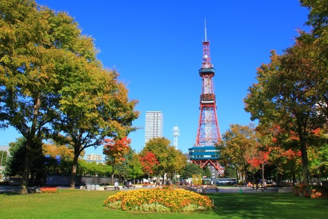 札幌の大通公園